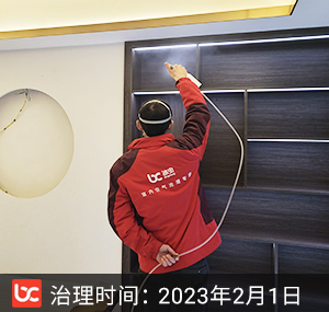 碧桂园中俊·天玺--重庆除甲醛