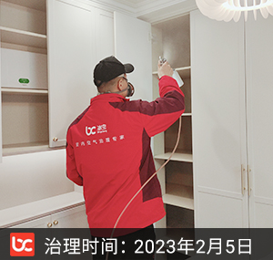 森与海之城--杭州除甲醛