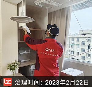 大华云禧--上海除甲醛