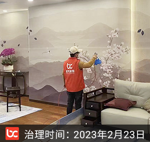 康裕·丽景花园--金华除甲醛