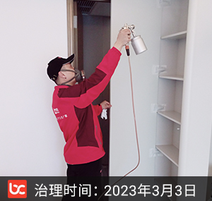 融信·杭州世纪--杭州除甲醛