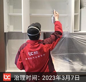 理想康城一品--杭州除甲醛