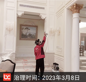 世纪外滩花园--杭州除甲醛