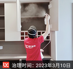 祥生东福春晓--绍兴除甲醛