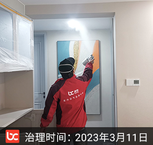 雅居乐花园--南京除甲醛
