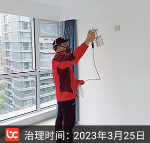 融信东寰名邸--杭州除甲醛
