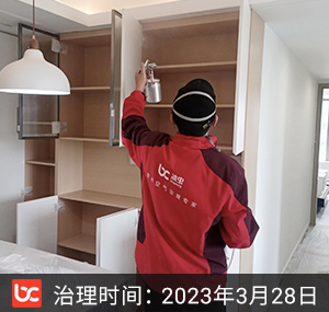 众安绿城·南湖明月--杭州除甲醛