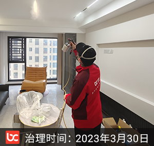 秀湖金茂府--嘉兴除甲醛
