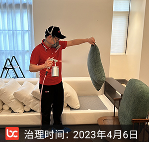 溪上玫瑰园-香榭苑--杭州除甲醛