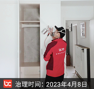 南班巷--杭州除甲醛