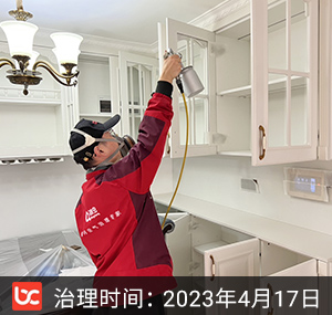 丽都壹号--北京除甲醛