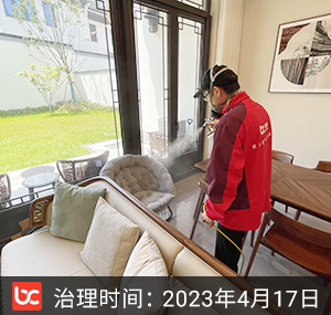 桃花源隐竹园--湖州除甲醛