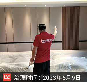 大华公园城市--上海除甲醛
