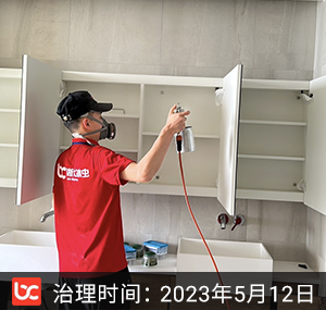 万象城悦府--杭州除甲醛