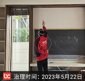 金科九曲河-东方墅--重庆除甲醛