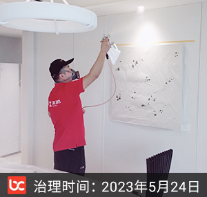 前湾国际--杭州除甲醛