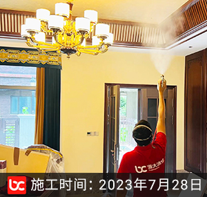 藏龙倚湖逸墅-武汉除甲醛案例