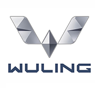 五菱汽车治理