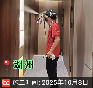 湖州-海伦堡海伦湾-除甲醛