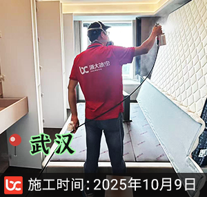 湖北武汉-绿城湖畔云庐-除甲醛