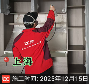 上海-露香园·云宸-除甲醛