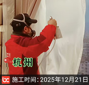 杭州-文缦滨汇府-除甲醛