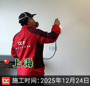上海-中海海上和集-除甲醛