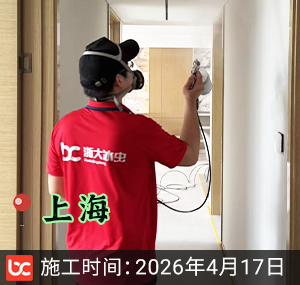 上海-皇都花园-除甲醛